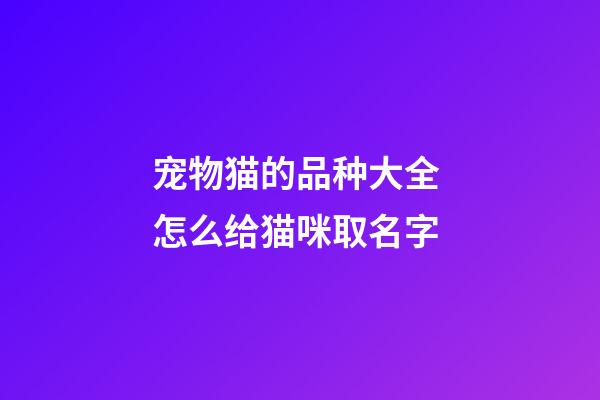 宠物猫的品种大全 怎么给猫咪取名字